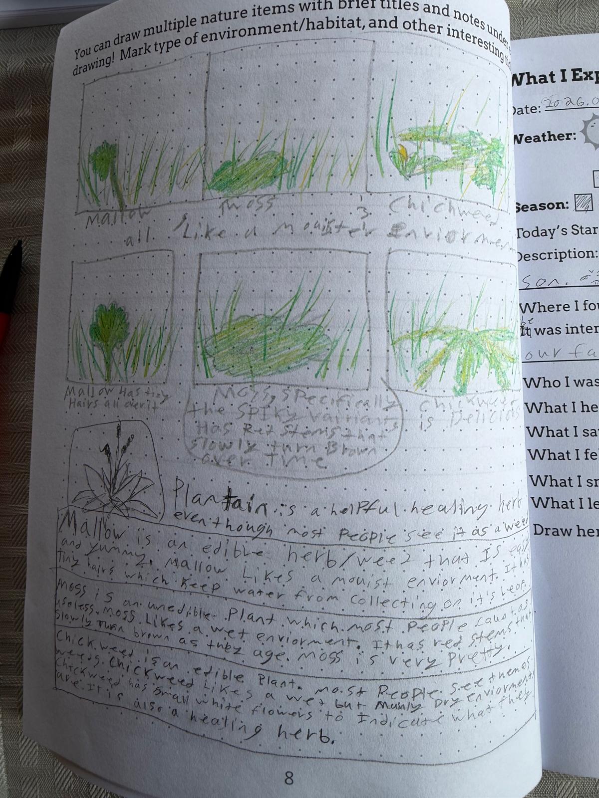 Nature Based Script KOLA Academy - Nature-Based Experiential Education